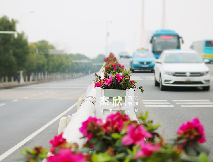 世界VR大會(huì)橋梁鋁合金花箱案例 世界VR大會(huì)橋梁鋁合金花箱案例